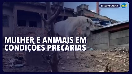 Mulher e animais em condições precárias mobilizam entidade de defesa em BH