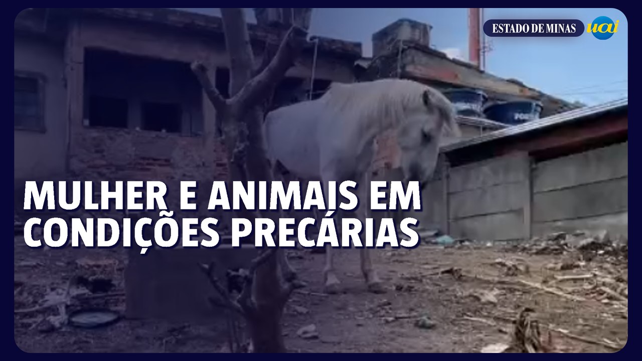 Mulher e animais em condições precárias mobilizam entidade de defesa em BH