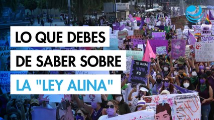 ¿Qué es la “Ley Alina”?: Iniciativa sobre la legítima defensa en casos de violencia de género