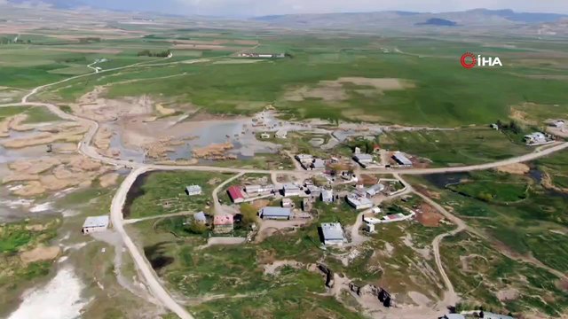 Van'ı seven farklı kuş grupları akın akın geldi! Muhteşem manzaralar oluştu