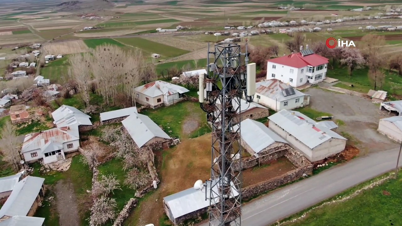 Van'da kargalar baz istasyonu direğinde yuva yaptı