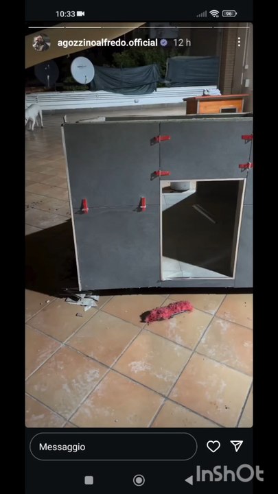 agozzino Alfredo la cuccia per i miei cani quasi pronta