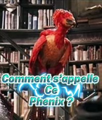 CONNAIS TU CE PHENIX LÉGENDAIRE?