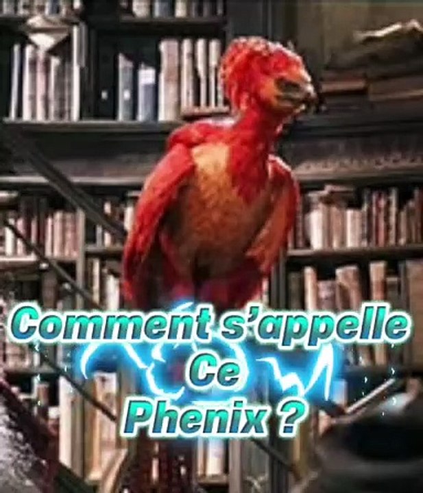 CONNAIS TU CE PHENIX LÉGENDAIRE?