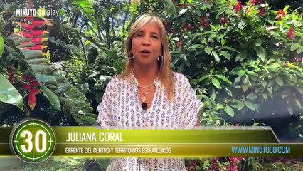 Inician la construcción de sendero ecológico en la quebrada La Presidenta, en El Poblado