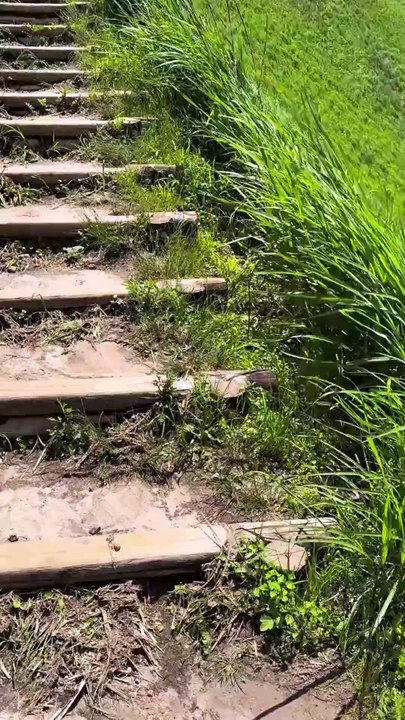 سورة يوسف اية (44)و(45)