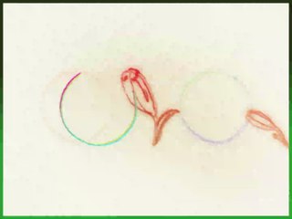 Tiger Lily Mountain Pass | movie | 2024 | Official Trailer