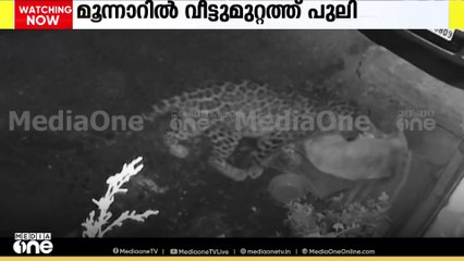 ഇടുക്കിയിൽ വീട്ടുമുറ്റത്ത് കിടന്ന വളർത്തു നായയെ കടിച്ചുകൊന്ന് പുലി.. ദൃശ്യങ്ങൾ...