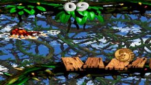 Donkey Kong Country 2 30