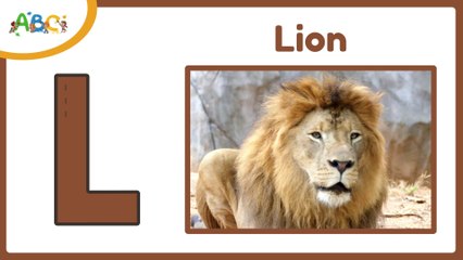 ABC Learning for Toddlers with Animals A to Z | Learn ABC Alphabet Animals | A to Z Animals Name
