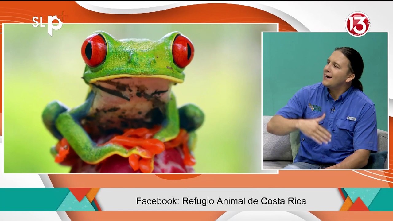ENTREVISTA 22 MAYO DIA DE LA BIODIVERSIDAD BIOLOGICA
