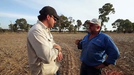Agriculture sector could lose its competitive edge as productivity slows