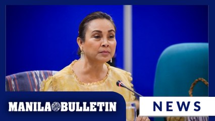 Legarda: PH needs to be proactive in disaster risk management