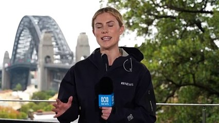 Sydney’s north shore and T8 rail lines affected by water on tracks
