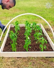 Garden crafting ideas you can do in no time!