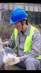 Decode Our Destiny Full Chinese Drama