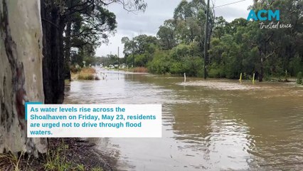 Shoalhaven Flood Warning: Stay Safe and Avoid Driving Through Rising Waters 🚫