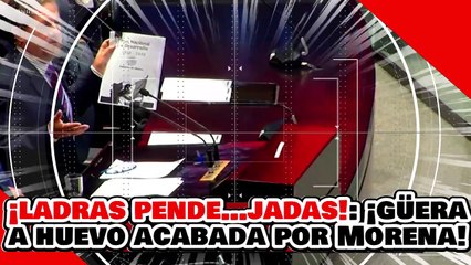 🔥🚨¡LADRAS PENDE…JADAS! ¡GÜERA a HUEVO e IMITADORA LILLY es ACABADA por el DIPUTADO FERNÁNDEZ!