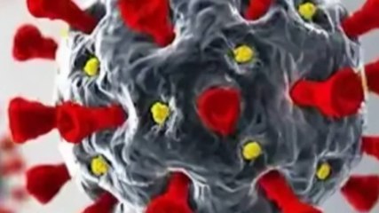 Delhi-NCR में कोरोना की दस्तक