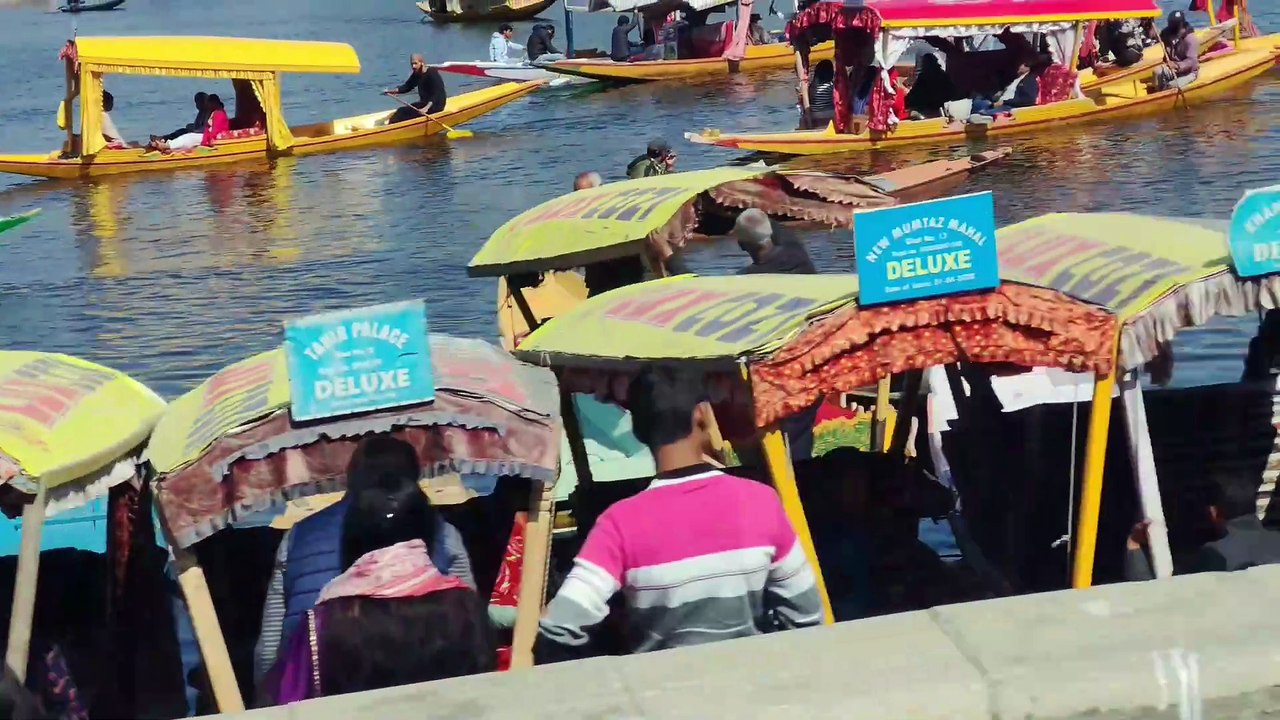 Dal Lake Srinagar, Jammu and Kashmir, India