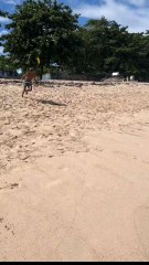 Its magic.#summer #beach #surfing