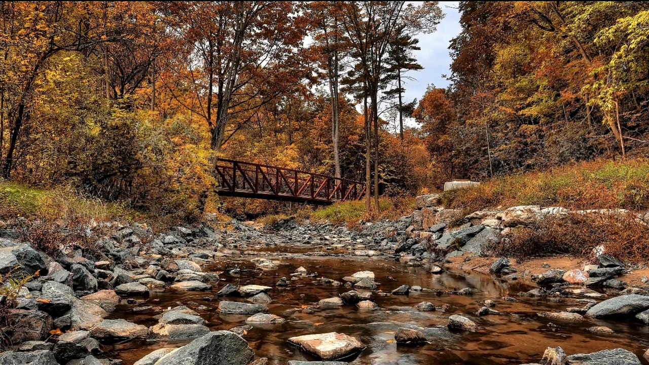 Relaxing Piano & Nature Sounds – Gentle Stream, Birds, Soft Melodies for Stress Relief & Sleep