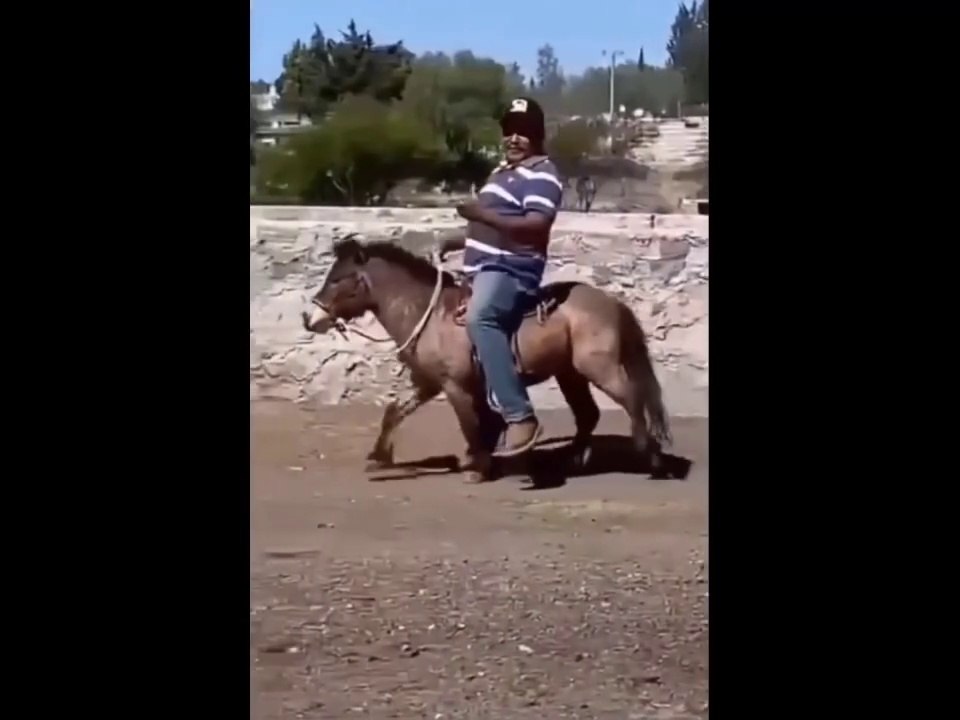 Best_Funny_-_TRY_NOT..._Memes