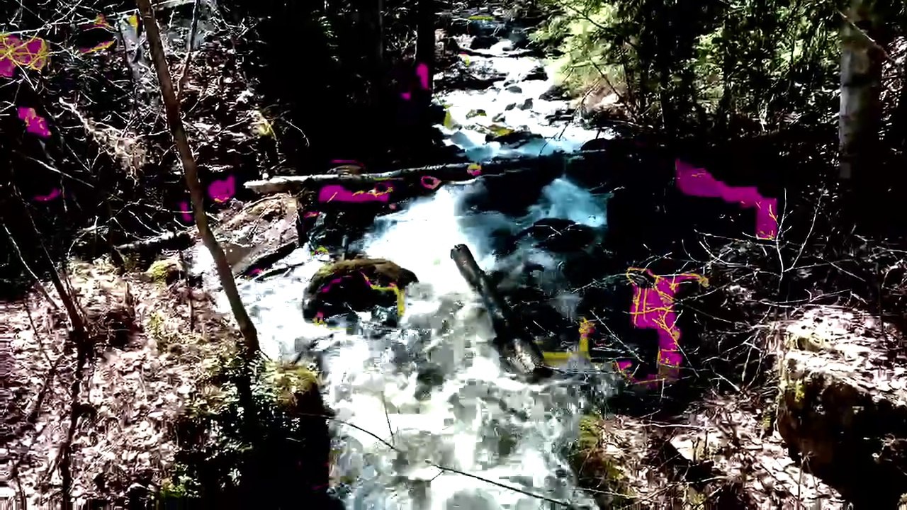 The stream