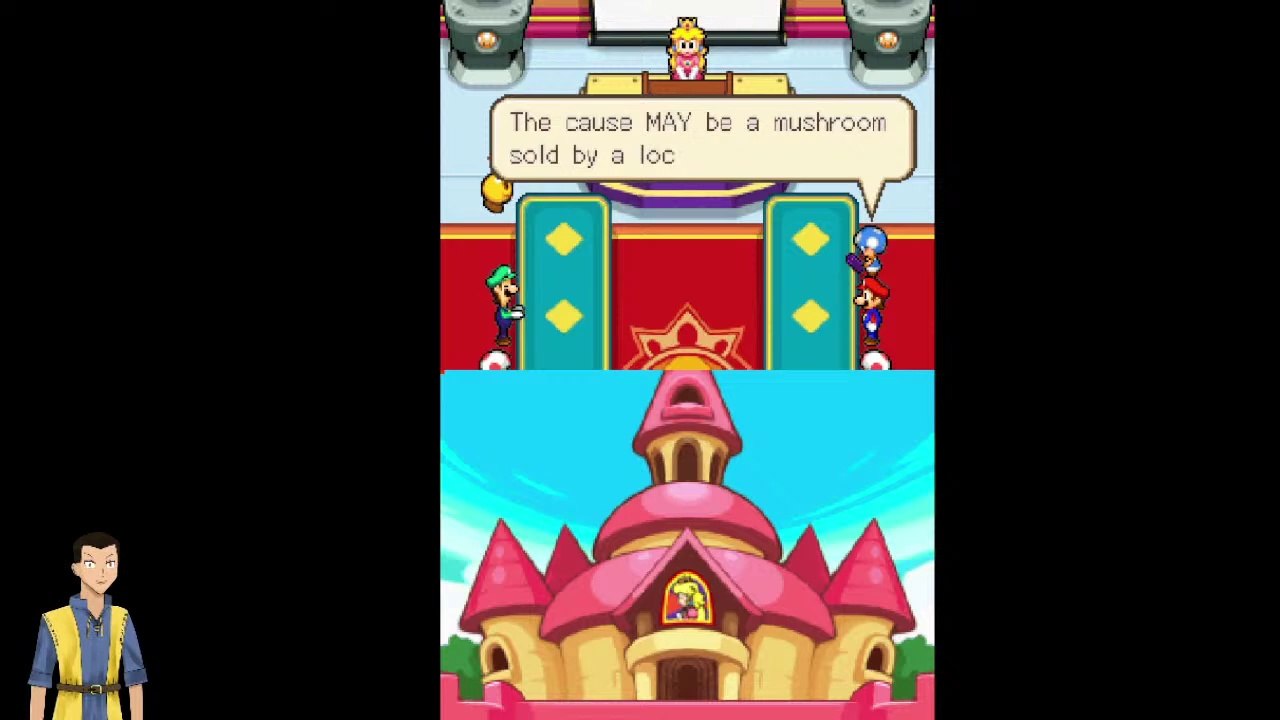 Mario & Luigi Bowser Inside Story (DS/RetroArch) day 1