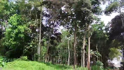 Makam Mbah Cakra 1 bululawang malang