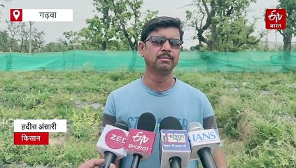 जहां कभी चलती थी ताबड़तोड़ गोलियां, वहां किसान तरबूज की खेती कर हो रहे मालामाल!