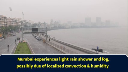 Mumbai experiences light rain shower and fog, possibly due of localized convection & humidity