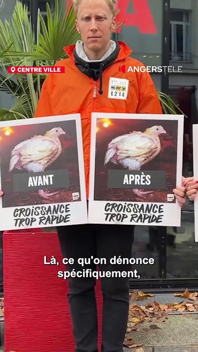 Manif : l’asso L214 frappe à Angers