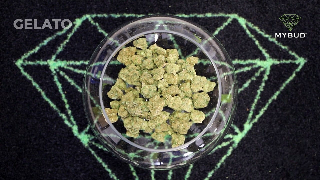 Gelato CBD – Une fleur gourmande au goût de dessert 🍰🍓