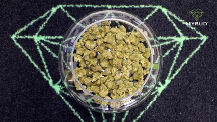 Cannatonic CBD – L’équilibre parfait entre puissance aromatique et détente 🍍🌲