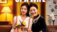 The Two Faces of a Wife Full Chinese Drama