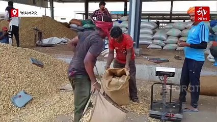 માવઠાની આગાહીને પગલે જામનગરનું હાપા માર્કેટિંગ યાર્ડ બંધ કરાયું, ખેડૂતોને શું સૂચના અપાઈ?