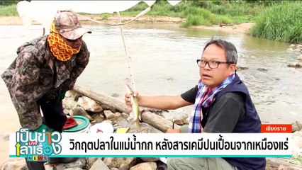 วิกฤตปลาในแม่น้ำกก หลังสารเคมีปนเปื้อนจากเหมืองแร่ | เป็นข่าวเล่าเรื่อง | 23 พ.ค. 68 | PART 1