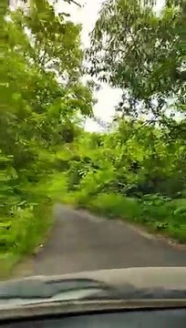 #shorts #viral Mast Magan - nature video status song, whatsapp status video beautiful #viralshorts - Copy