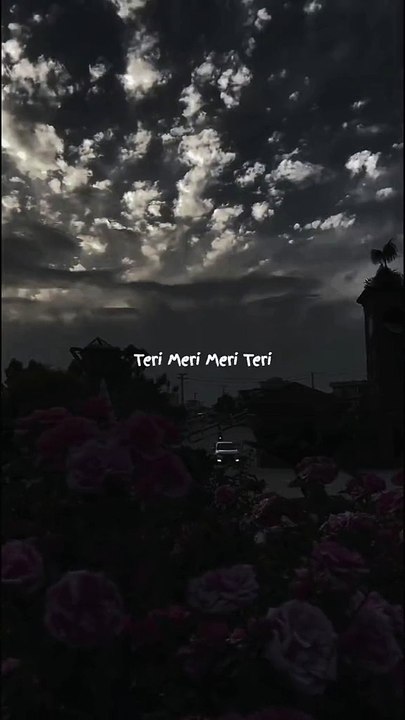 Find 'Teri Meri Prem Kahani Hai mushkil status' on TikTok - TikTok Search