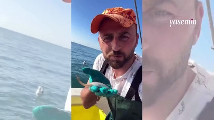 Trabzon'da şoke eden anlar: Martının kısa süren özgürlüğü!