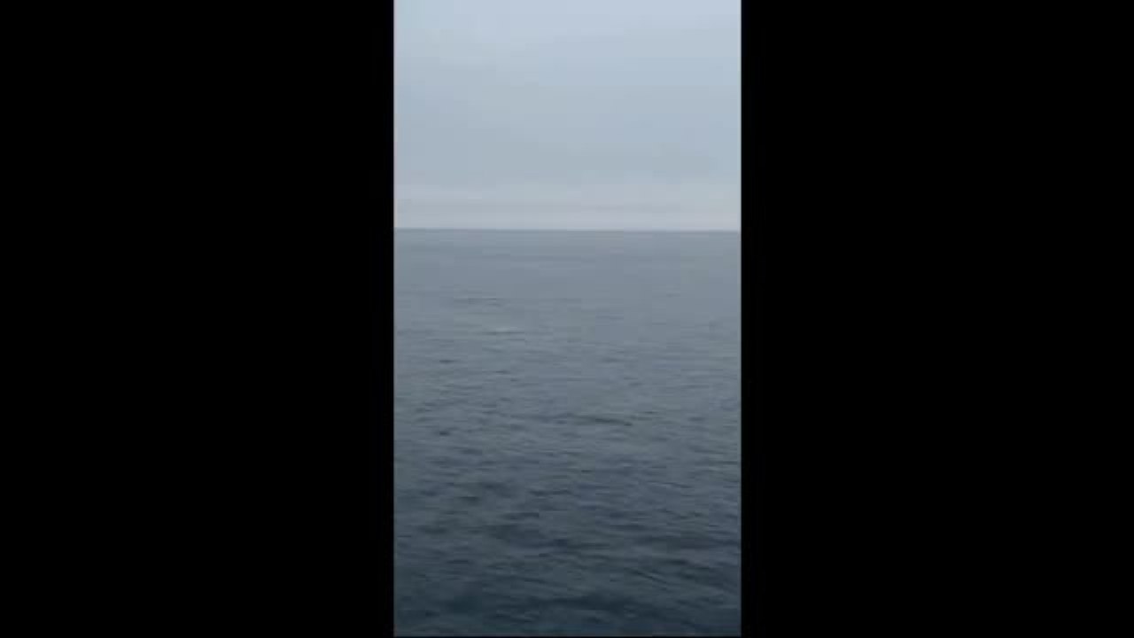 Otranto, avvistata una balena