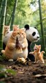 Cat and Panda Funny Animation Story Ai