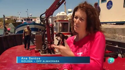 Almadraba, el laberinto de los atunes