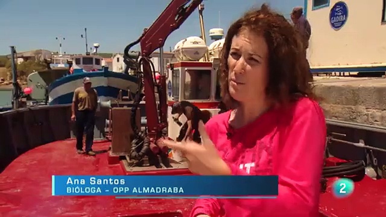 Almadraba, el laberinto de los atunes