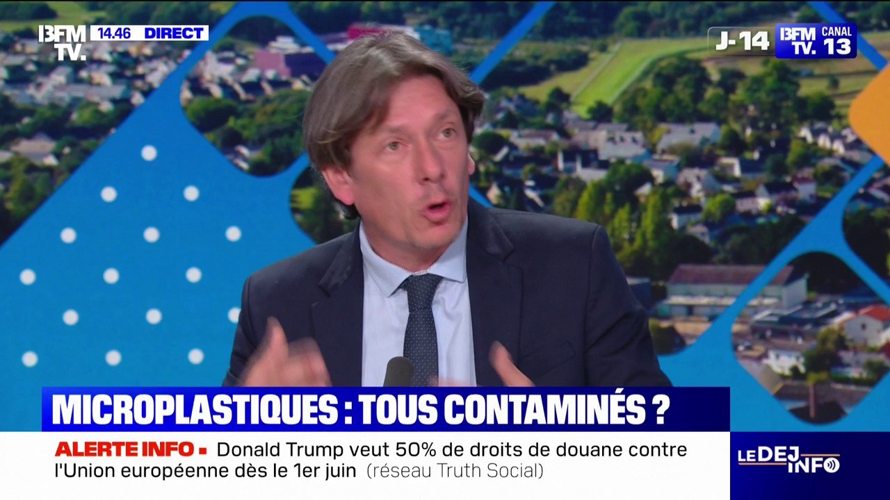 Une nouvelle étude du CNRS et de l'Inrae confirme que les microplastiques se sont infiltrés chez tous les êtres vivants