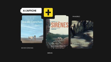 Teaser + DE COURTS 25 Mai 2025