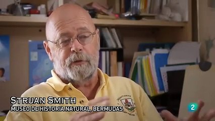 Drenar el Triángulo de las Bermudas