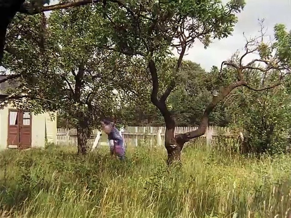 Pippi Langstrumpf - Pippi und die Flaschenpost