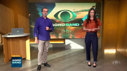 Brasil tem prazo de 28 dias para se declarar livre da gripe aviária